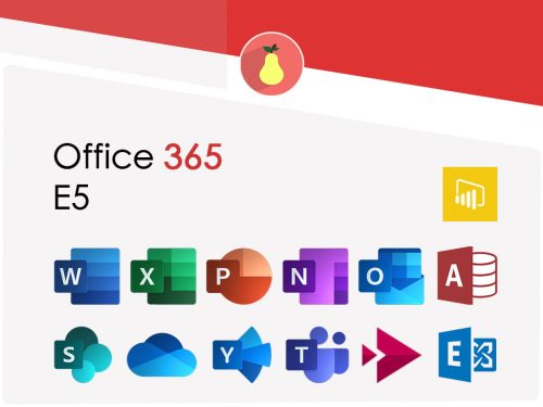 What Microsoft Office 365 E5 includes
